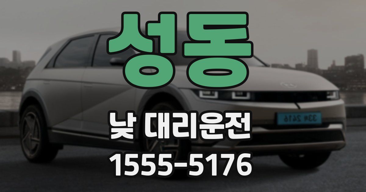 성동 낮 대리운전