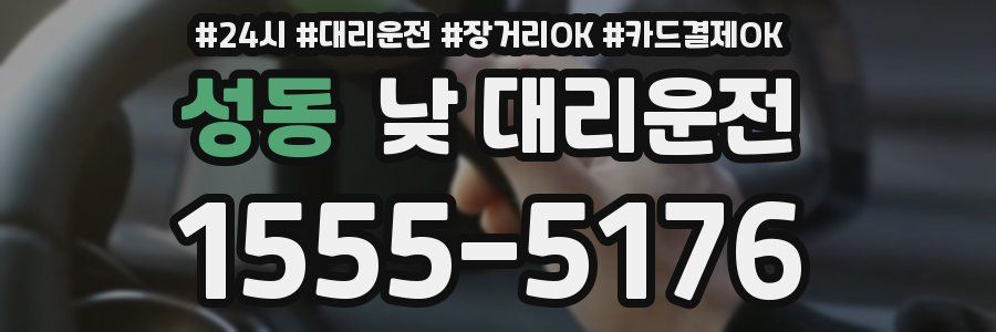 성동 낮 대리운전