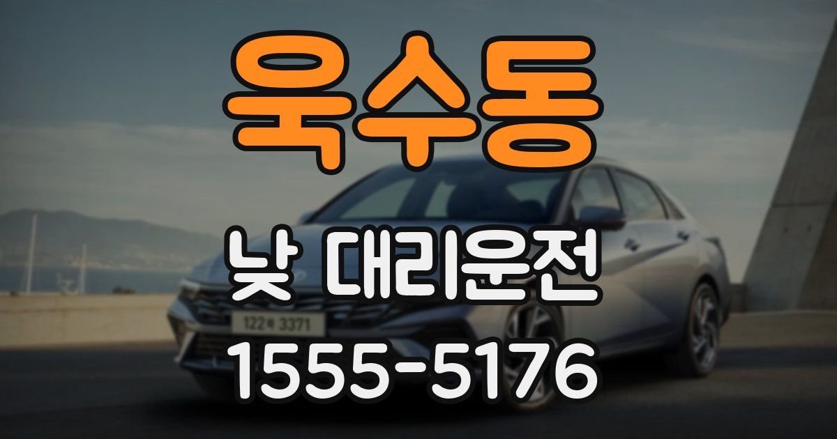 욱수동 낮 대리운전