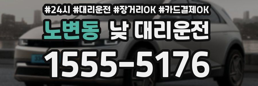 노변동 낮 대리운전