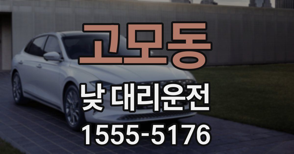 고모동 낮 대리운전