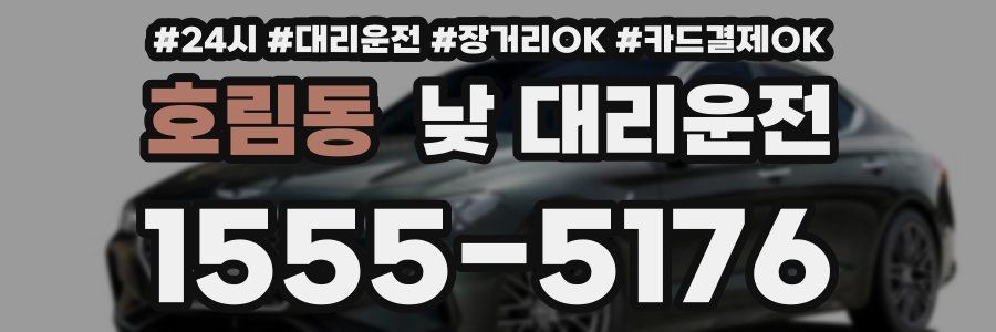 호림동 낮 대리운전
