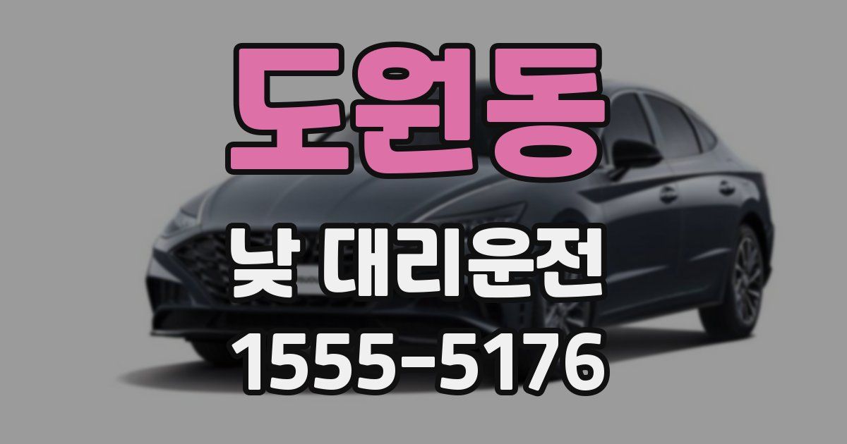 도원동 낮 대리운전