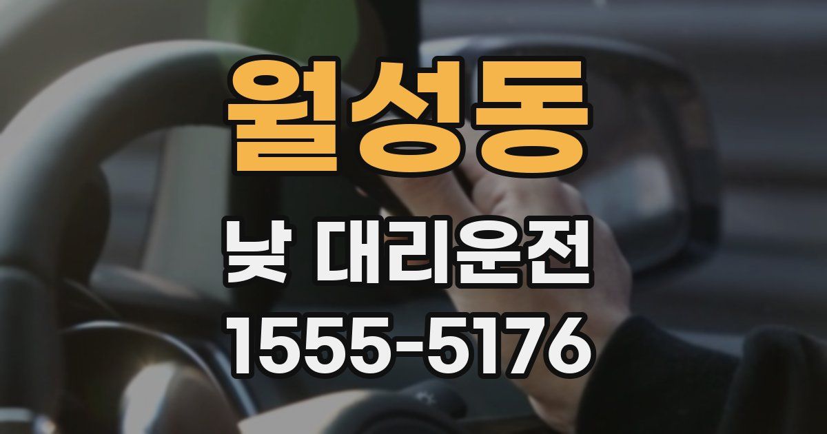 월성동 낮 대리운전