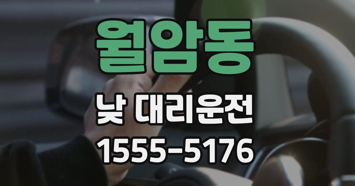 월암동 낮 대리운전