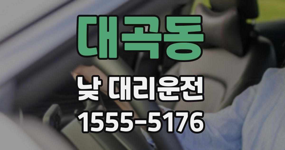 대곡동 낮 대리운전