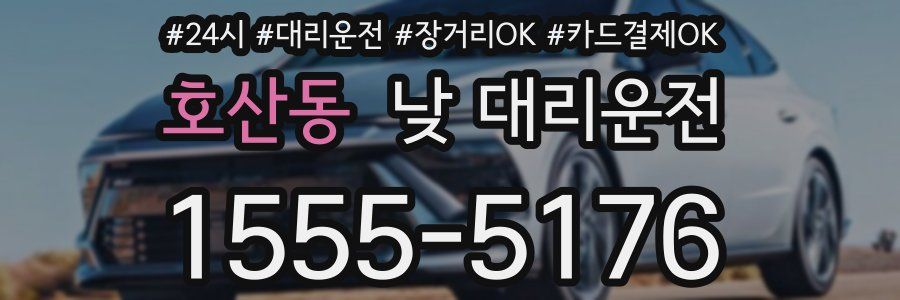 호산동 낮 대리운전