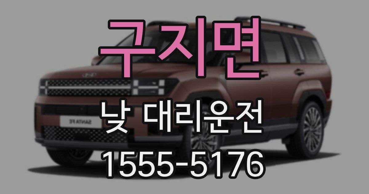 구지면 낮 대리운전