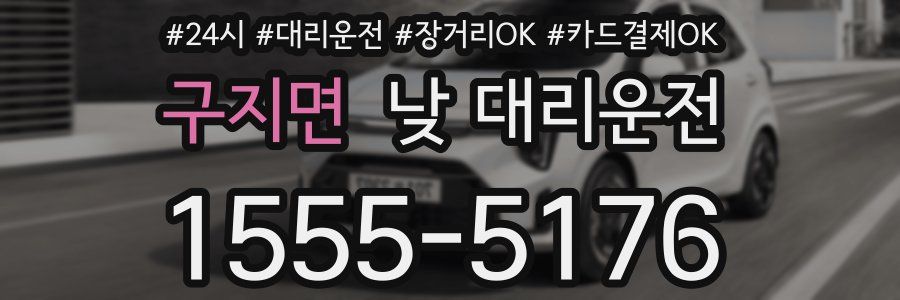 구지면 낮 대리운전