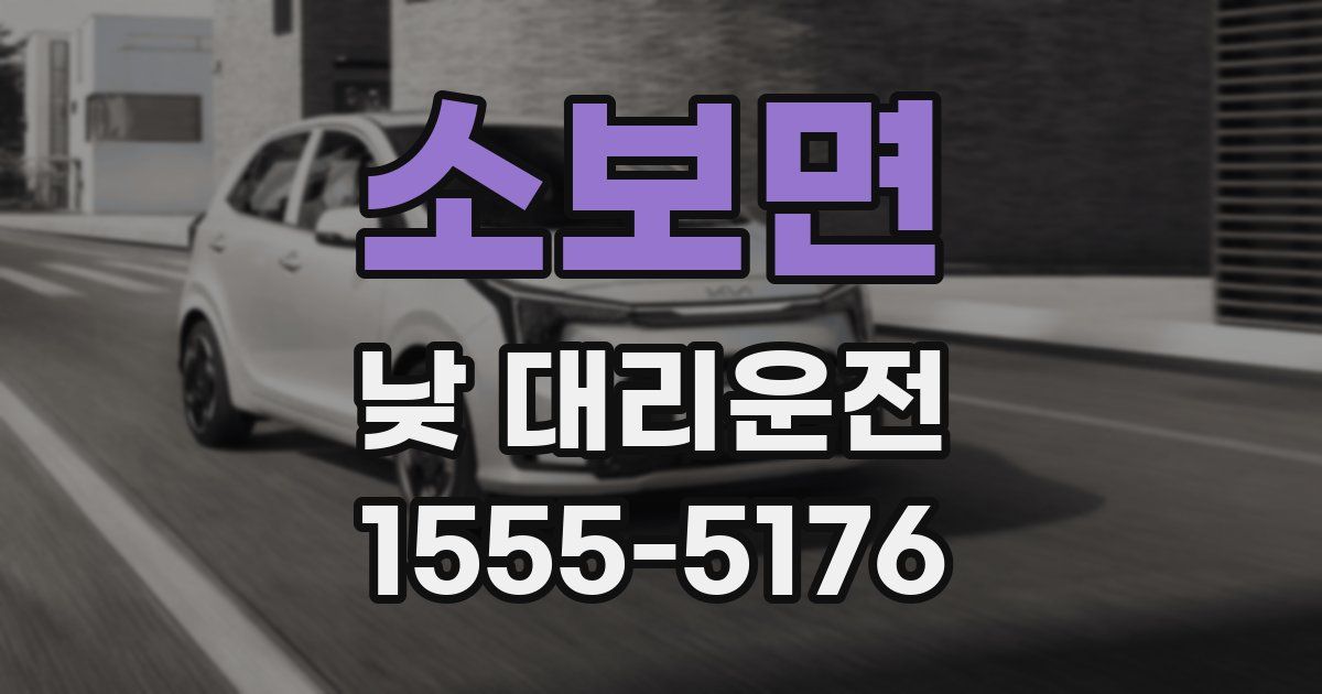 소보면 낮 대리운전