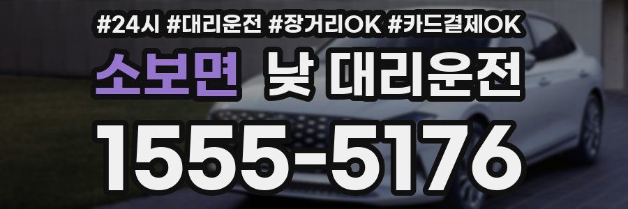 소보면 낮 대리운전