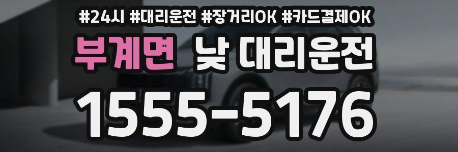 부계면 낮 대리운전