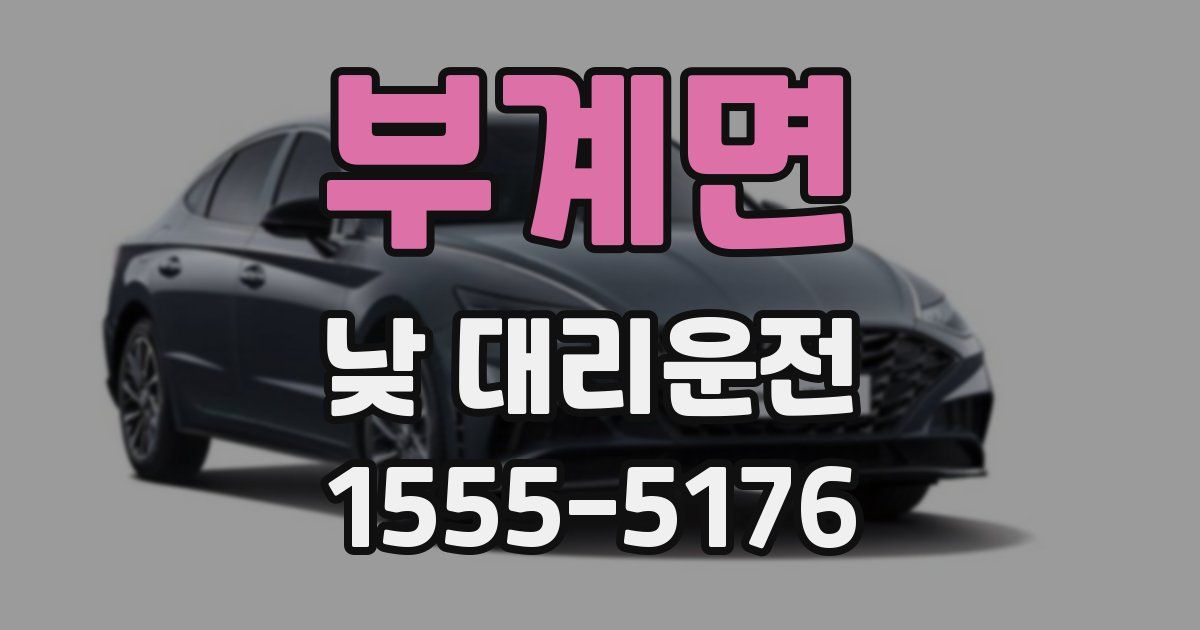 부계면 낮 대리운전