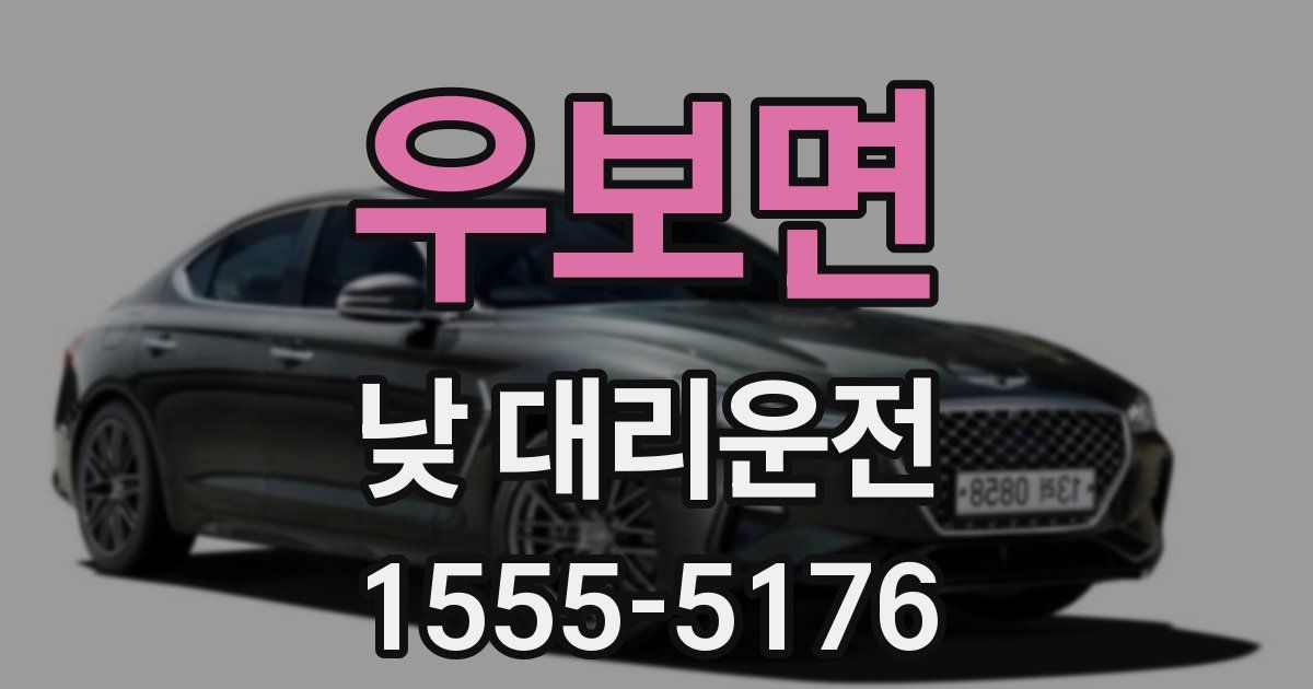 우보면 낮 대리운전