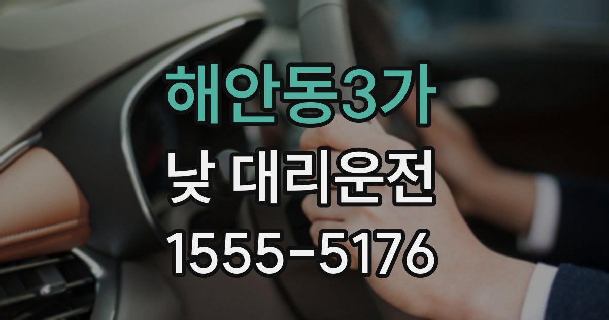 해안동3가 낮 대리운전