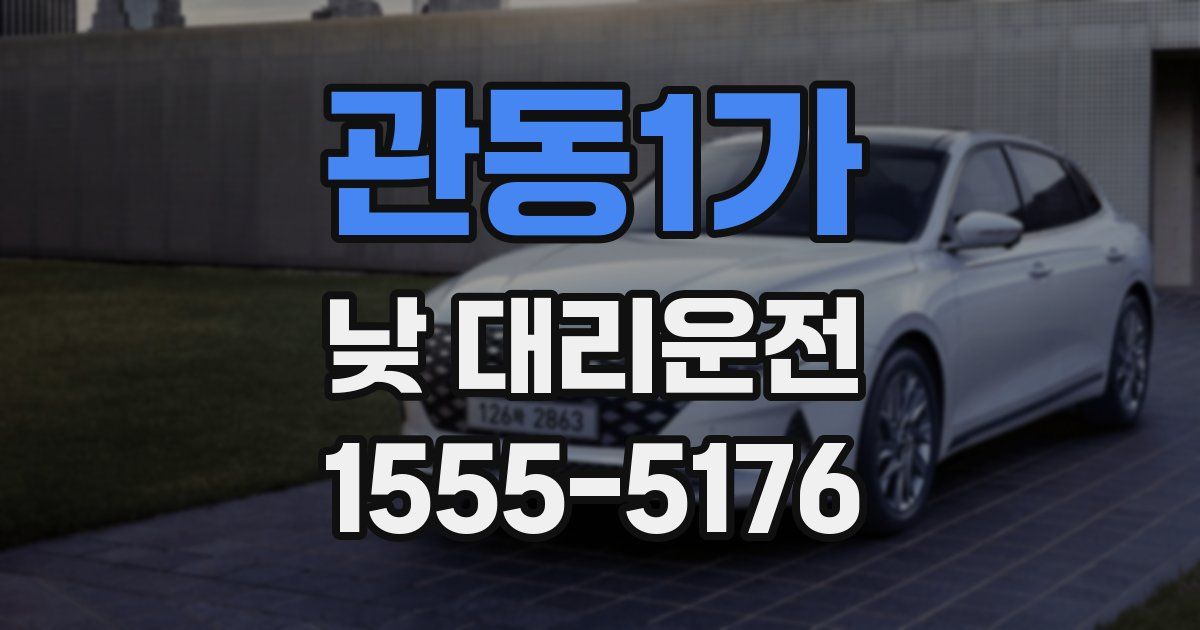 관동1가 낮 대리운전