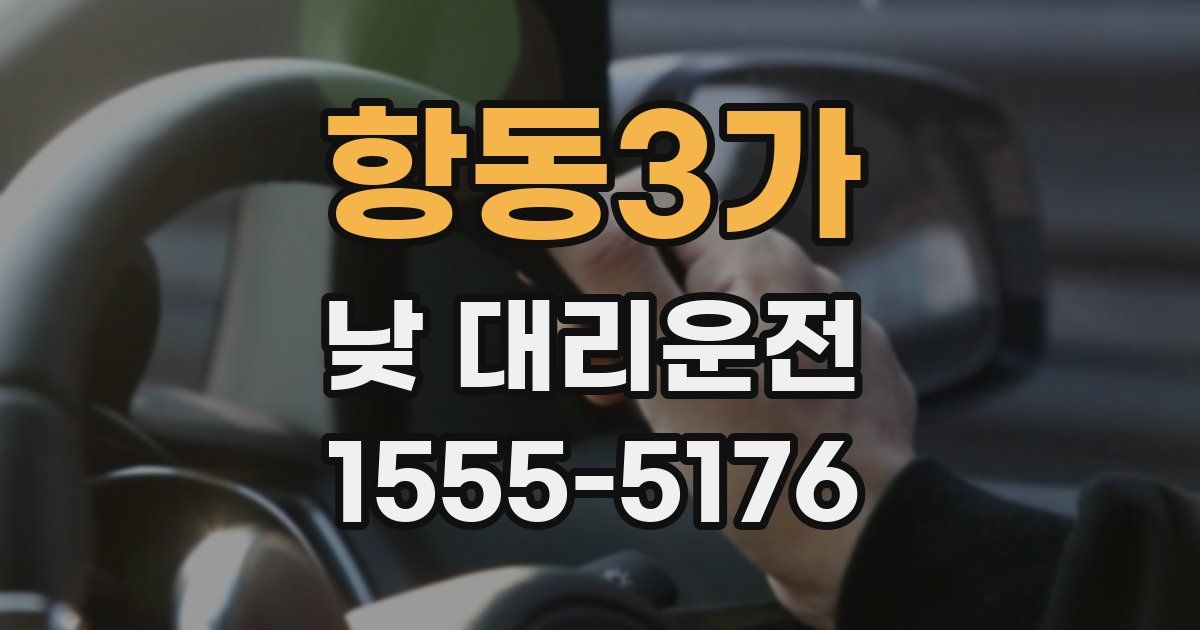 항동3가 낮 대리운전