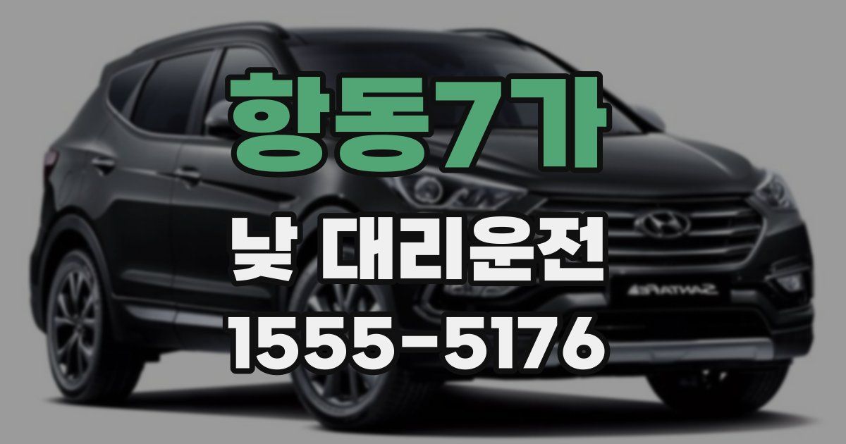 항동7가 낮 대리운전