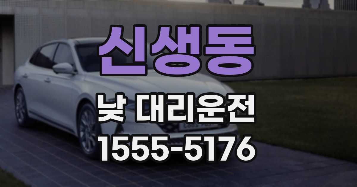 신생동 낮 대리운전