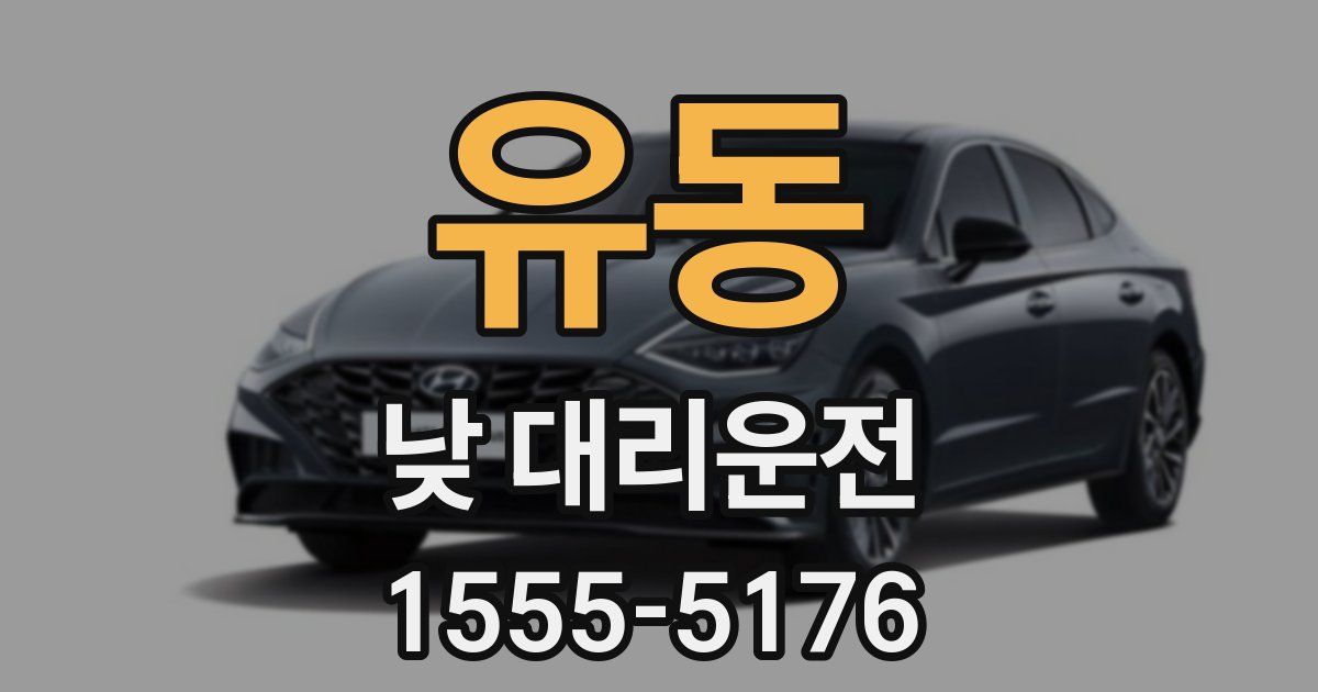유동 낮 대리운전