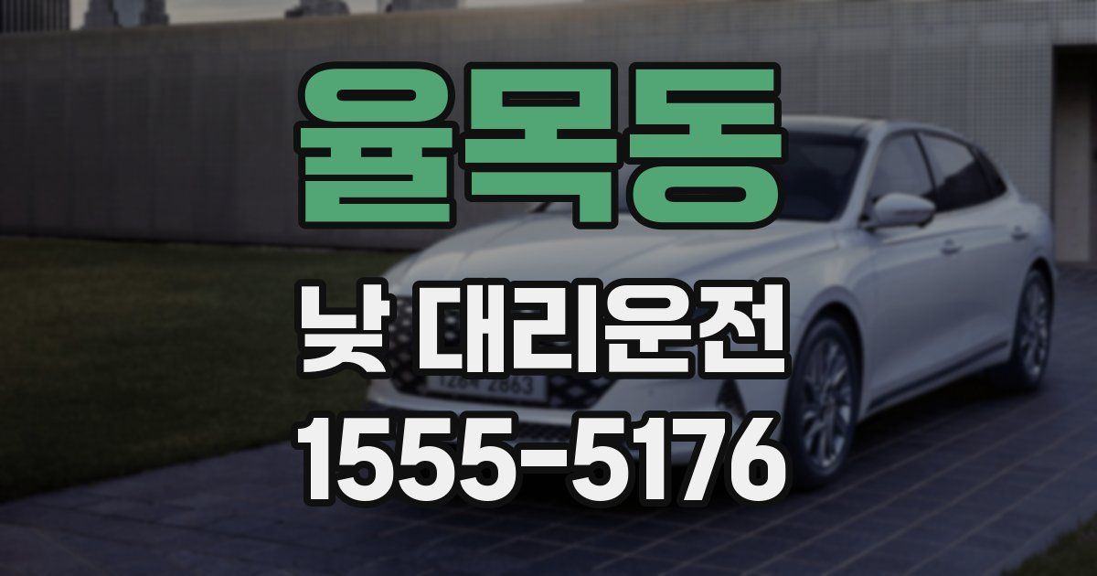 율목동 낮 대리운전