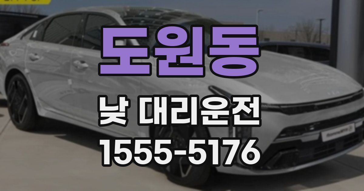도원동 낮 대리운전