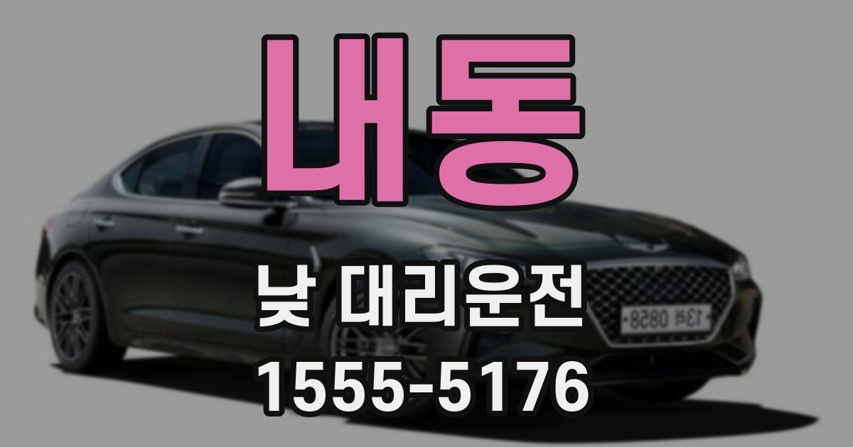 내동 낮 대리운전