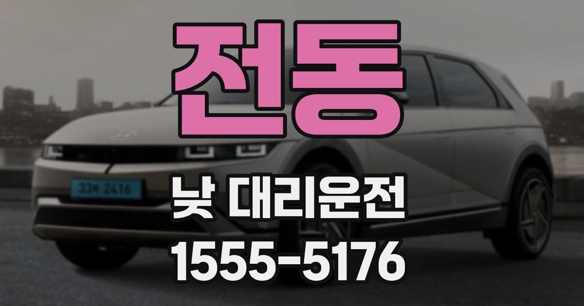 전동 낮 대리운전