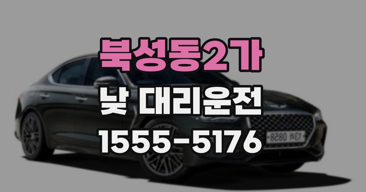 북성동2가 낮 대리운전