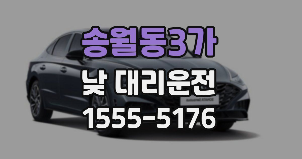 송월동3가 낮 대리운전