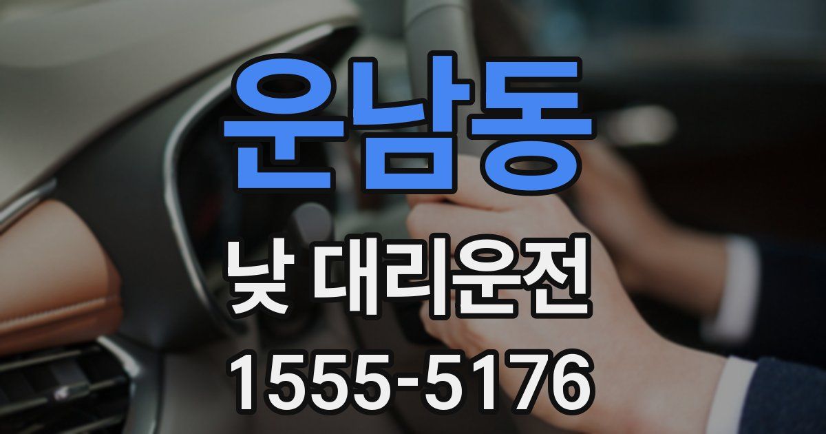 운남동 낮 대리운전