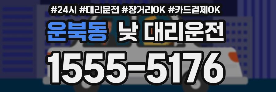 운북동 낮 대리운전