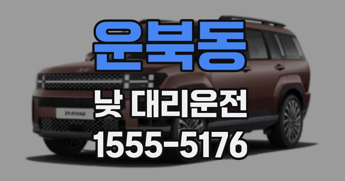 운북동 낮 대리운전