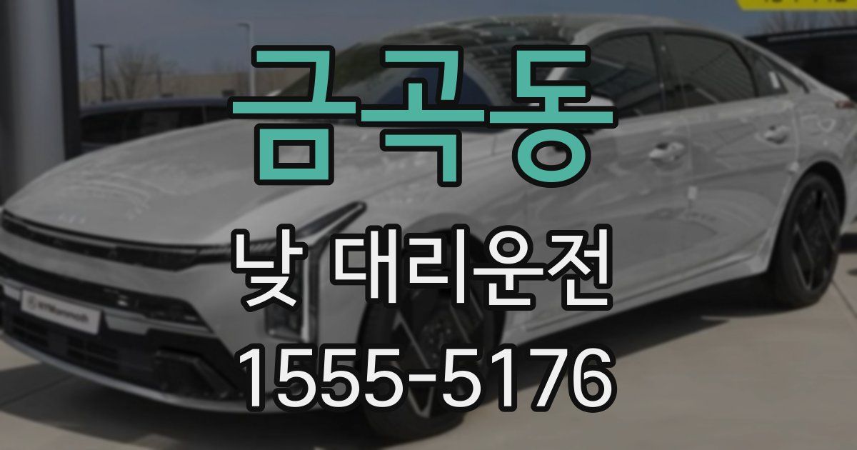 금곡동 낮 대리운전