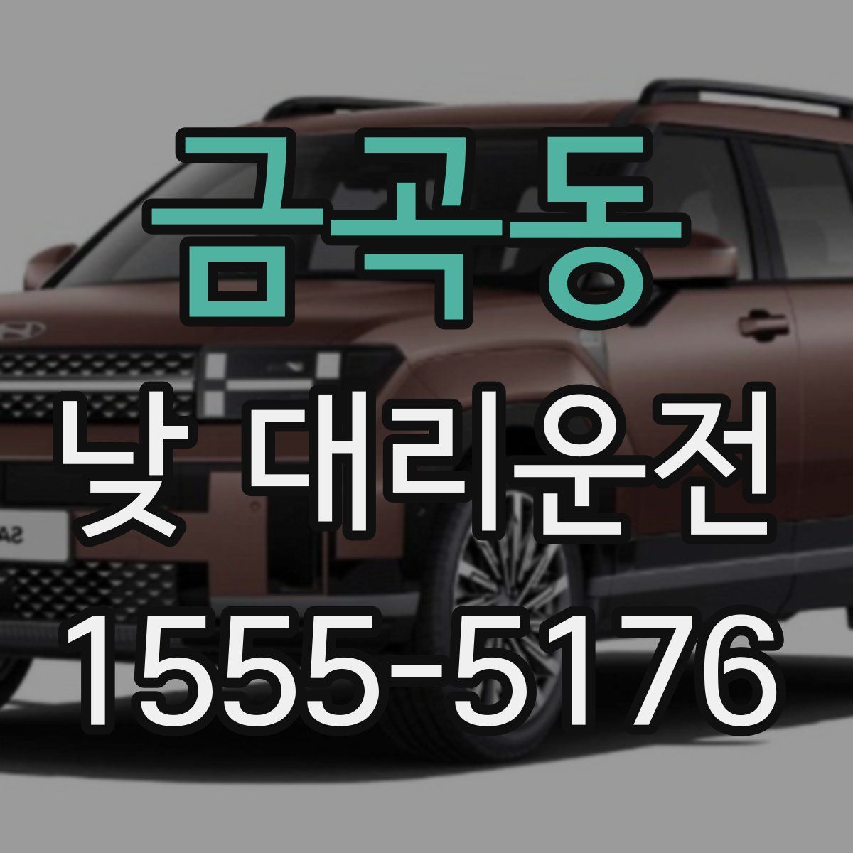 금곡동 낮 대리운전