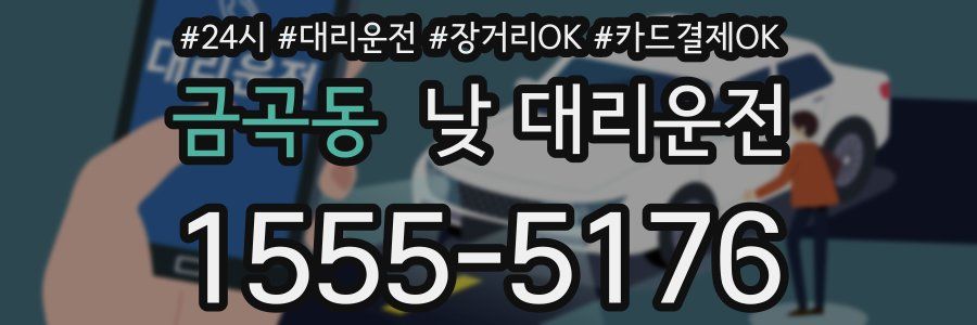 금곡동 낮 대리운전