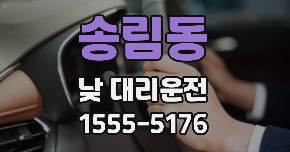 송림동 낮 대리운전