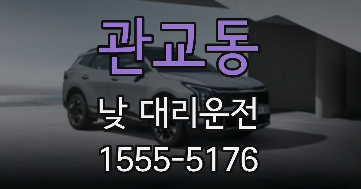 관교동 낮 대리운전