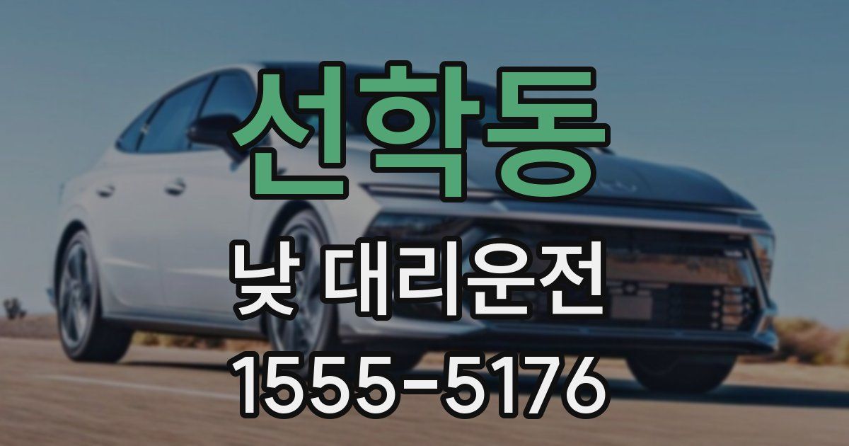 선학동 낮 대리운전