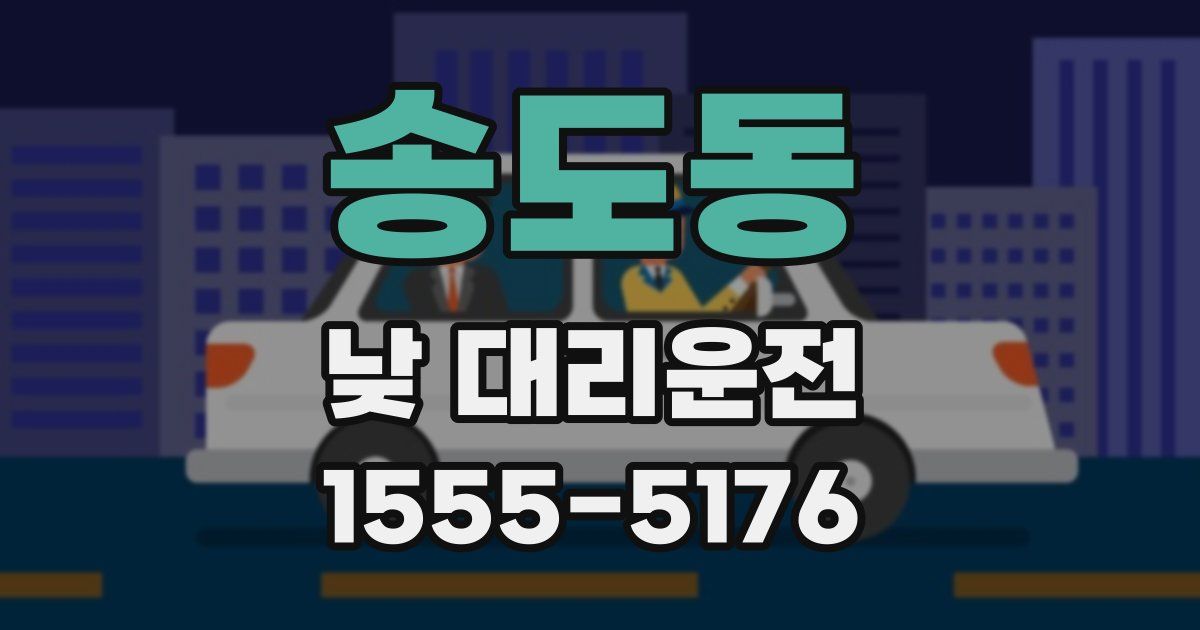 송도동 낮 대리운전
