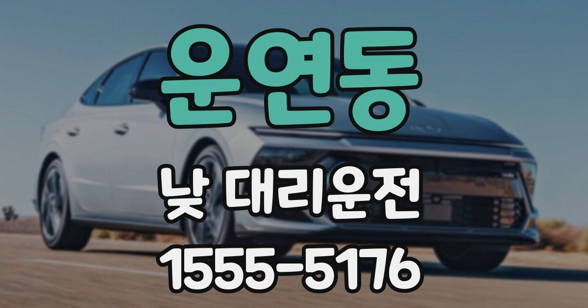 운연동 낮 대리운전
