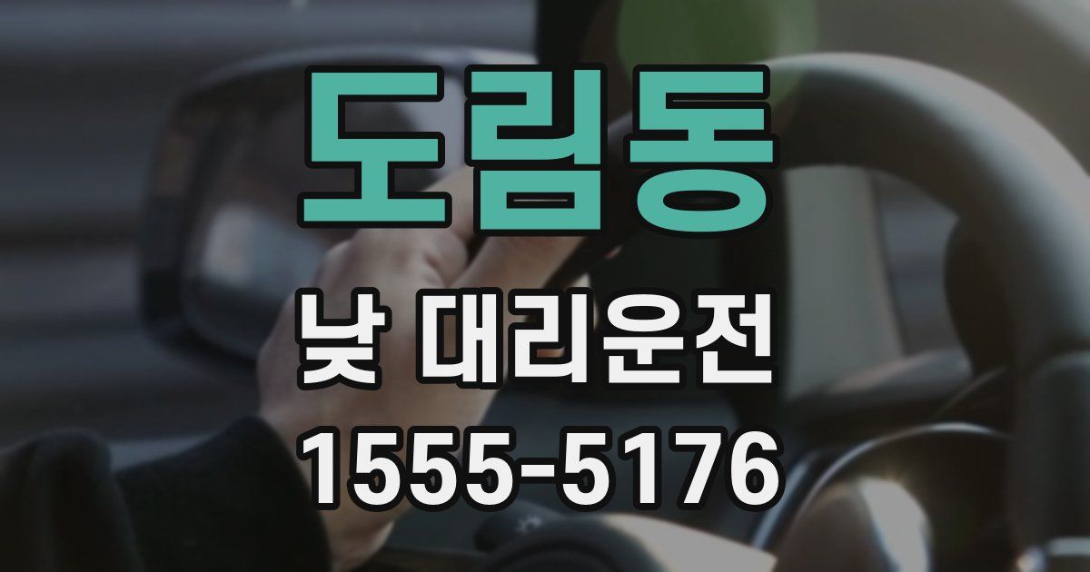 도림동 낮 대리운전