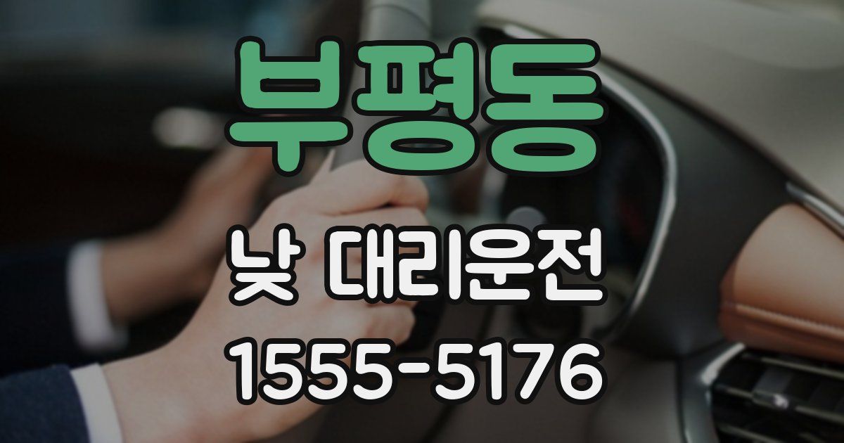 부평동 낮 대리운전