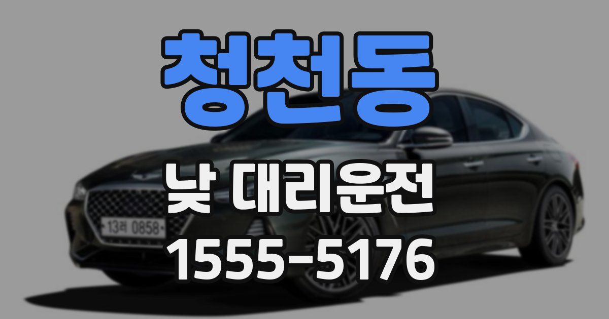 청천동 낮 대리운전