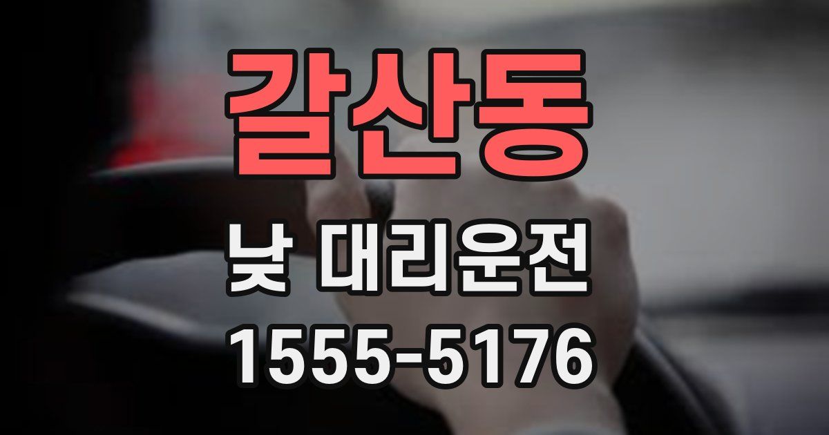 갈산동 낮 대리운전