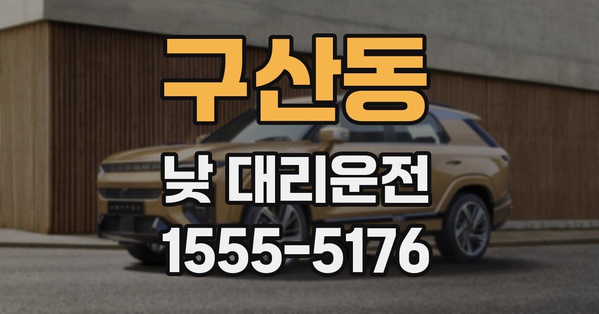 구산동 낮 대리운전