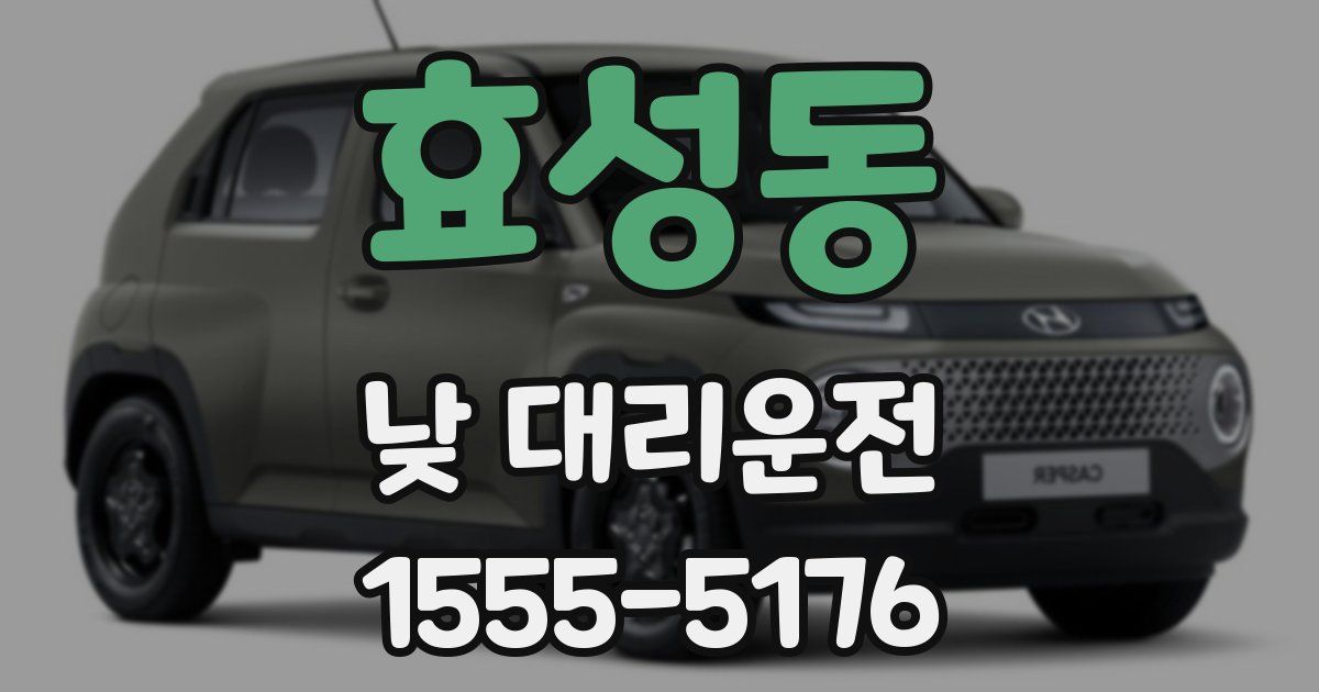효성동 낮 대리운전
