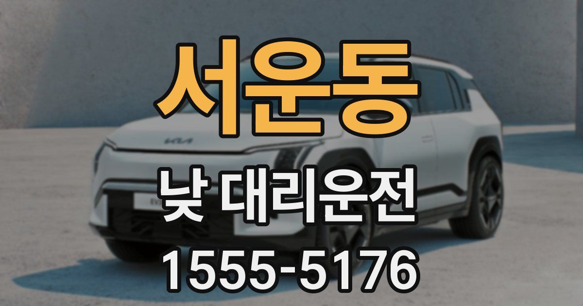 서운동 낮 대리운전