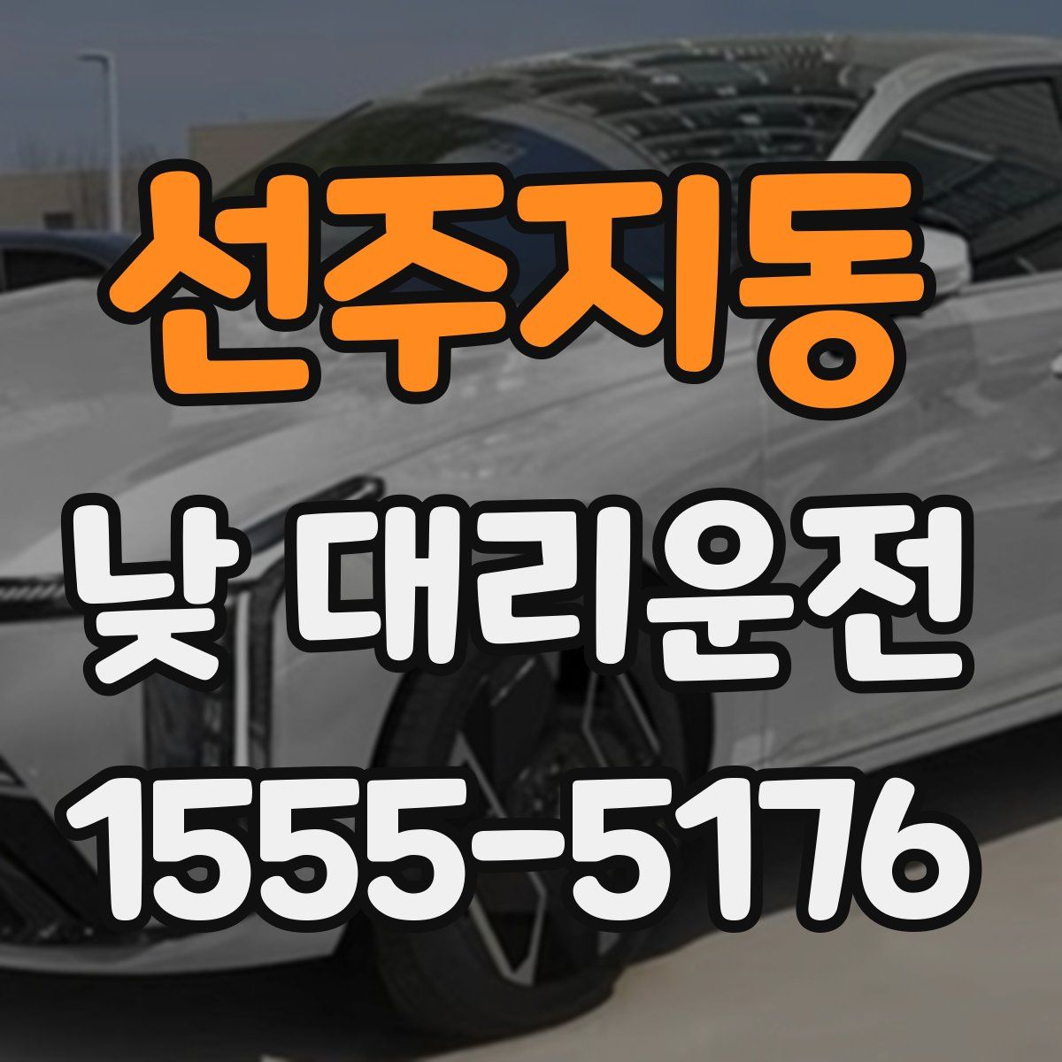 선주지동 낮 대리운전