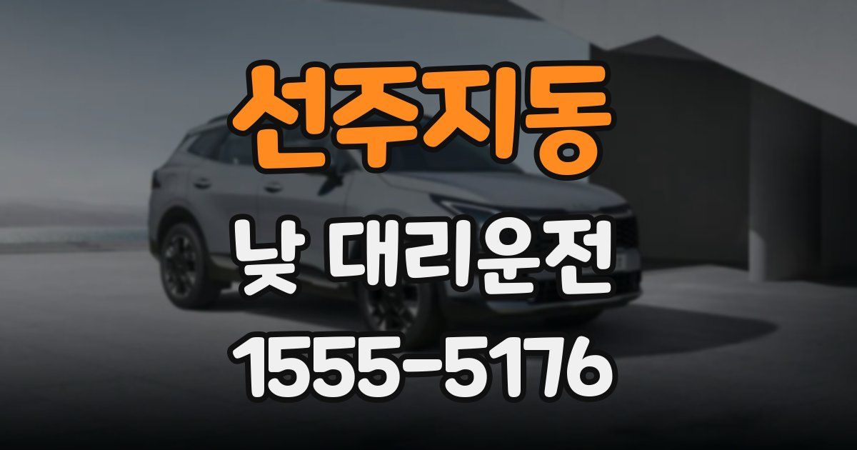 선주지동 낮 대리운전